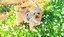 もふもふイヴのプロフィール画像
