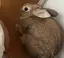 こなのプロフィール画像