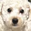 あいのプロフィール画像