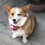 mikのプロフィール画像
