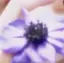 ℳのプロフィール画像