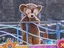 nonoのプロフィール画像