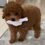sayakaのプロフィール画像
