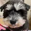 きなこみるくのプロフィール画像