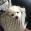 みゆのプロフィール画像