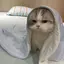 ららりのプロフィール画像