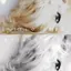 無のプロフィール画像