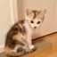 muのプロフィール画像