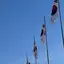 saのプロフィール画像