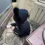 春菜のプロフィール画像