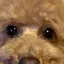 あすのプロフィール画像