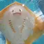 ゆずのプロフィール画像