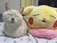 はるちんのプロフィール画像