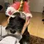 ゆーなのプロフィール画像