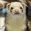 ちびすけママのプロフィール画像