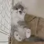 みかのプロフィール画像