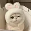 なつみのプロフィール画像