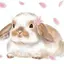 Na❁のプロフィール画像