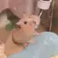 奈緒のプロフィール画像