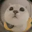 CCCのプロフィール画像