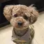 meのプロフィール画像