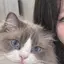 あおいのプロフィール画像