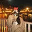momoのプロフィール画像