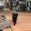 みつきのプロフィール画像