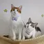 ぽんのプロフィール画像