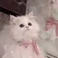 リのプロフィール画像