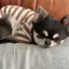 aynのプロフィール画像