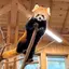 Naのプロフィール画像
