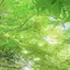 meguのプロフィール画像