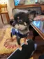 ひろみのプロフィール画像