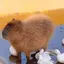 リョウのプロフィール画像