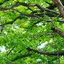 ammmiのプロフィール画像