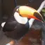 ぐみのプロフィール画像