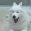 綾乃のプロフィール画像