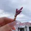 さのプロフィール画像