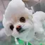 LaLaのプロフィール画像
