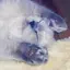 tmoのプロフィール画像