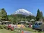 さそりのプロフィール画像