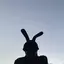 チホのプロフィール画像