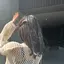 ゆんのプロフィール画像