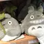 ディのプロフィール画像