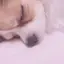 yukichaのプロフィール画像