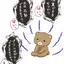 さつきのプロフィール画像