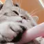 くるみのプロフィール画像