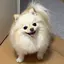 ゆのプロフィール画像