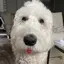 Yのプロフィール画像